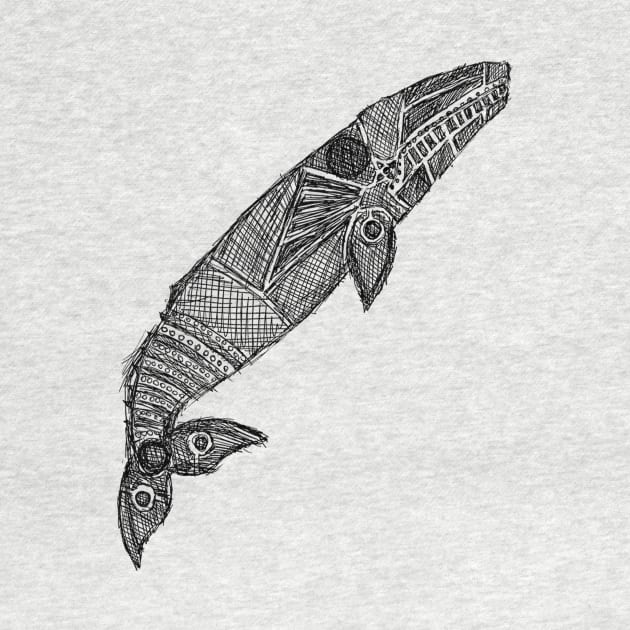 Gray Whale Sketch by Hinterlund